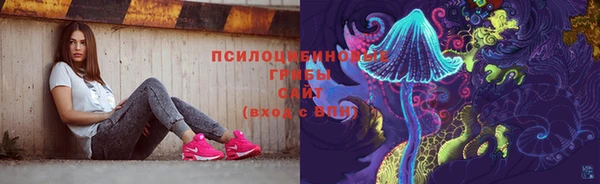 прущие крисы Богородицк