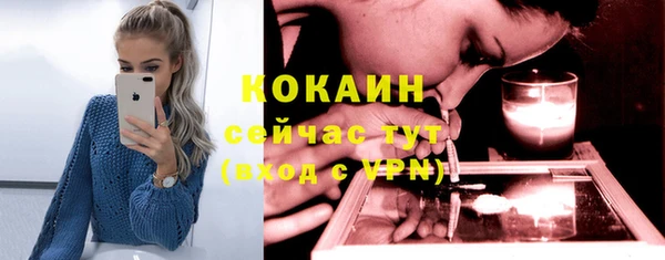MESCALINE Бородино