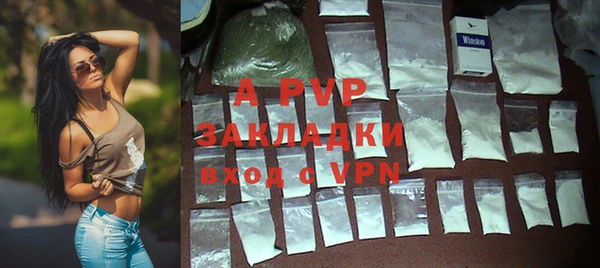 MESCALINE Бородино